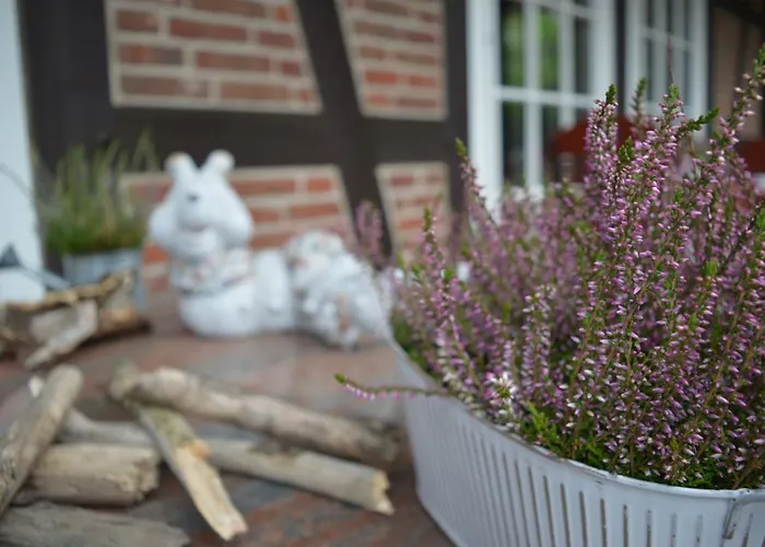 Maison d'hôtes Luxus Engel Inklusive Thermeplus 5*